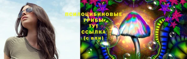 скорость Абаза