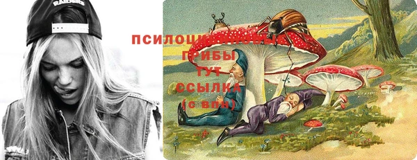 скорость Абаза
