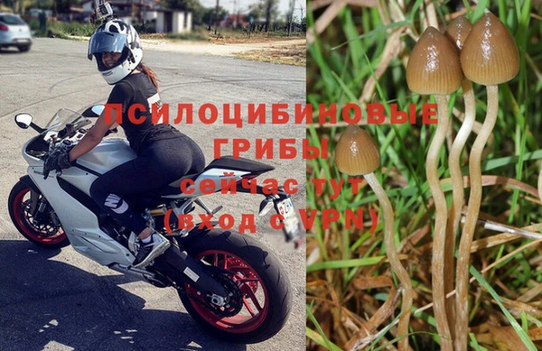 ГАЛЛЮЦИНОГЕННЫЕ ГРИБЫ Абдулино