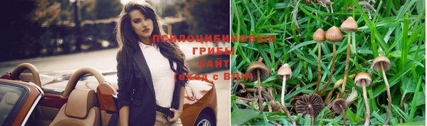 ГАЛЛЮЦИНОГЕННЫЕ ГРИБЫ Абдулино